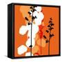 Saffron Indignation-Jan Weiss-Framed Stretched Canvas