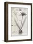 Saffron Plant, 18th Century-Middle Temple Library-Framed Photographic Print