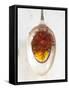 Saffron Threads in Oil on a Spoon-Nikolai Buroh-Framed Stretched Canvas