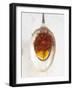 Saffron Threads in Oil on a Spoon-Nikolai Buroh-Framed Photographic Print