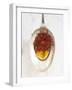 Saffron Threads in Oil on a Spoon-Nikolai Buroh-Framed Photographic Print