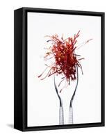 Saffron Threads in Tongs-Marc O^ Finley-Framed Stretched Canvas