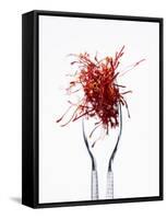 Saffron Threads in Tongs-Marc O^ Finley-Framed Stretched Canvas