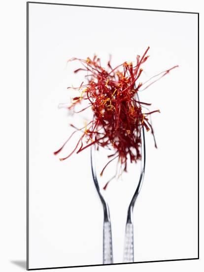 Saffron Threads in Tongs-Marc O^ Finley-Mounted Photographic Print