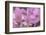 Safran-Viviane Fedieu Danielle-Framed Photographic Print