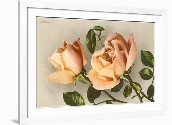 Safrano Roses-null-Framed Premium Giclee Print