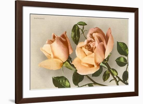 Safrano Roses-null-Framed Premium Giclee Print