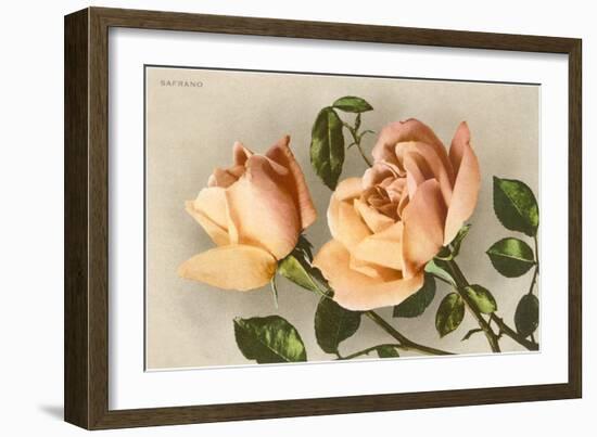 Safrano Roses-null-Framed Art Print