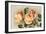 Safrano Roses-null-Framed Art Print