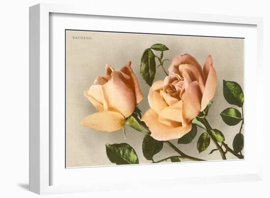 Safrano Roses-null-Framed Art Print