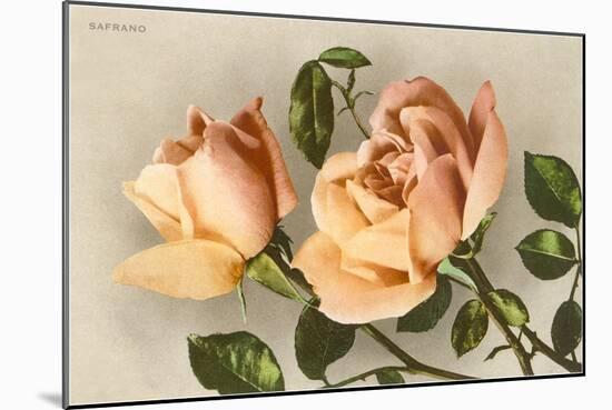 Safrano Roses-null-Mounted Art Print