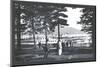 Sagamore, Lake George, New York-William Henry Jackson-Mounted Photo