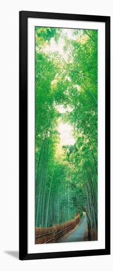 Sagano Kyoto Japan-null-Framed Photographic Print