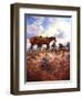 Sage Advice-Jack Sorenson-Framed Art Print