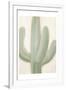 Sage Cactus 1-Kimberly Allen-Framed Art Print