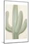 Sage Cactus 1-Kimberly Allen-Mounted Art Print