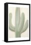 Sage Cactus 1-Kimberly Allen-Framed Stretched Canvas