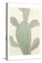 Sage Cactus 2-Kimberly Allen-Stretched Canvas