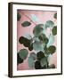 Sage Eucalyptus No. 1-Lupen Grainne-Framed Premium Photographic Print
