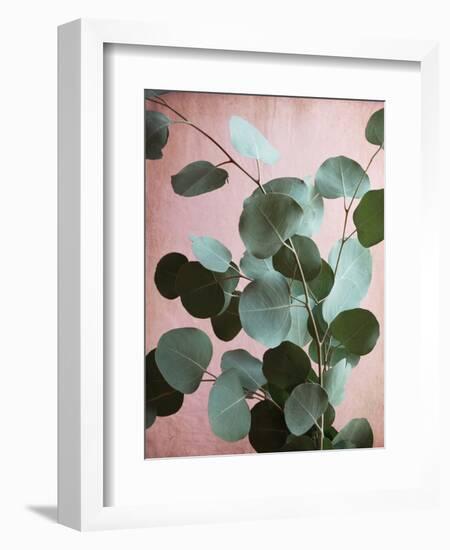 Sage Eucalyptus No. 1-Lupen Grainne-Framed Photographic Print