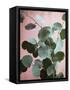 Sage Eucalyptus No. 1-Lupen Grainne-Framed Stretched Canvas