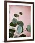 Sage Eucalyptus No. 2-Lupen Grainne-Framed Photographic Print