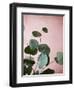 Sage Eucalyptus No. 2-Lupen Grainne-Framed Photographic Print