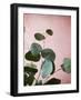 Sage Eucalyptus No. 2-Lupen Grainne-Framed Photographic Print