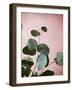 Sage Eucalyptus No. 2-Lupen Grainne-Framed Photographic Print