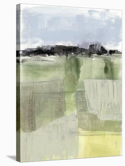 Sage Field II-Jennifer Goldberger-Stretched Canvas