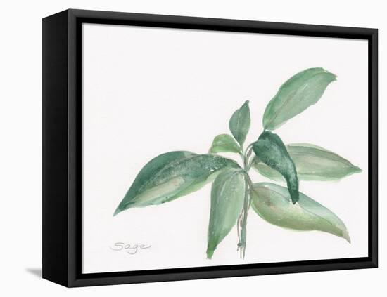 Sage I-Chris Paschke-Framed Stretched Canvas