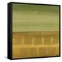 Sage Leaf-Randy Hibberd-Framed Stretched Canvas