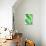 Sage Leaves-Dorota & Bogdan Bialy-Stretched Canvas displayed on a wall