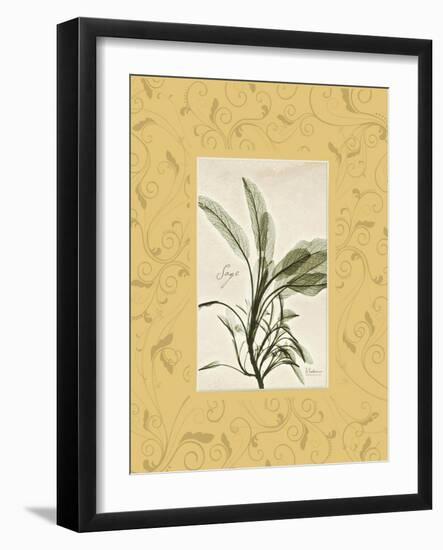 Sage Mat-Albert Koetsier-Framed Art Print