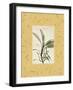 Sage Mat-Albert Koetsier-Framed Art Print