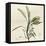 Sage Moment-Albert Koetsier-Framed Stretched Canvas