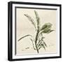 Sage Moment-Albert Koetsier-Framed Art Print