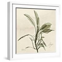 Sage Moment-Albert Koetsier-Framed Art Print