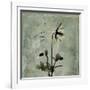 Sage Opus Columbine-Albert Koetsier-Framed Art Print