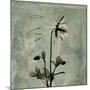 Sage Opus Columbine-Albert Koetsier-Mounted Art Print