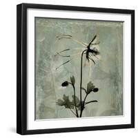 Sage Opus Columbine-Albert Koetsier-Framed Art Print