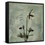 Sage Opus Columbine-Albert Koetsier-Framed Stretched Canvas