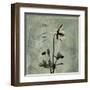 Sage Opus Columbine-Albert Koetsier-Framed Art Print