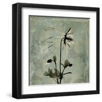 Sage Opus Columbine-Albert Koetsier-Framed Art Print