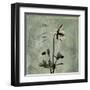 Sage Opus Columbine-Albert Koetsier-Framed Art Print