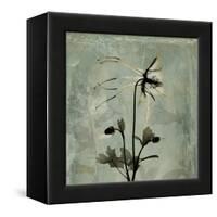 Sage Opus Columbine-Albert Koetsier-Framed Stretched Canvas