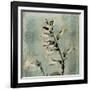 Sage Opus Foxglove-Albert Koetsier-Framed Art Print