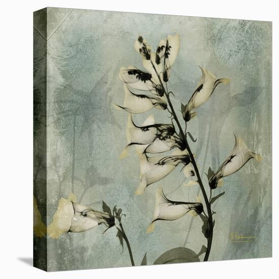 Sage Opus Foxglove-Albert Koetsier-Stretched Canvas