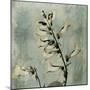 Sage Opus Foxglove-Albert Koetsier-Mounted Premium Giclee Print