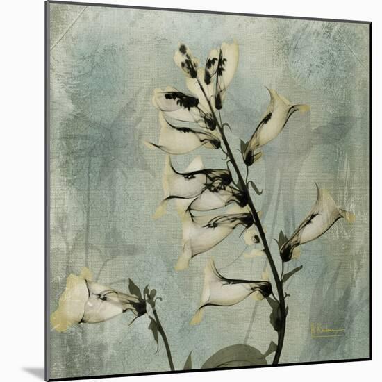 Sage Opus Foxglove-Albert Koetsier-Mounted Art Print